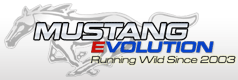 Mustang Evolution